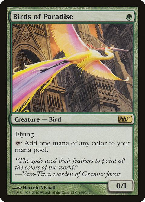 Birds of Paradise (165)
