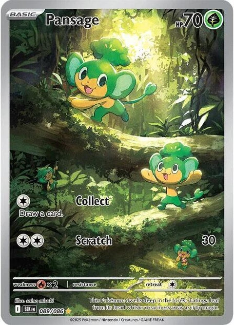 Pansage (89)